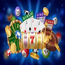 556bet
