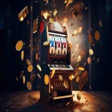 556bet