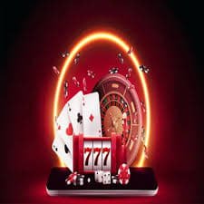 556bet