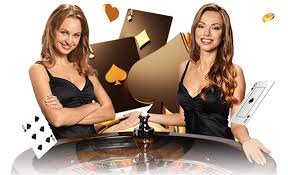 556bet