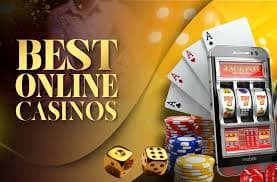556bet