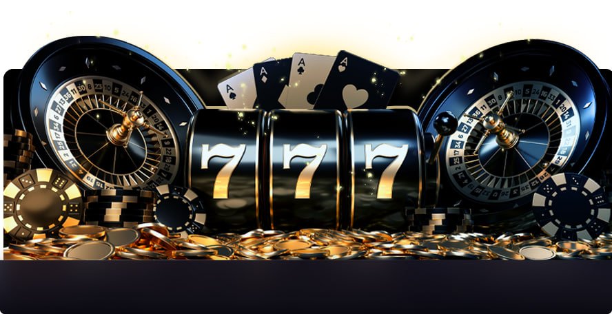 556bet